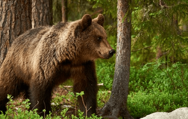 Romania spring tours